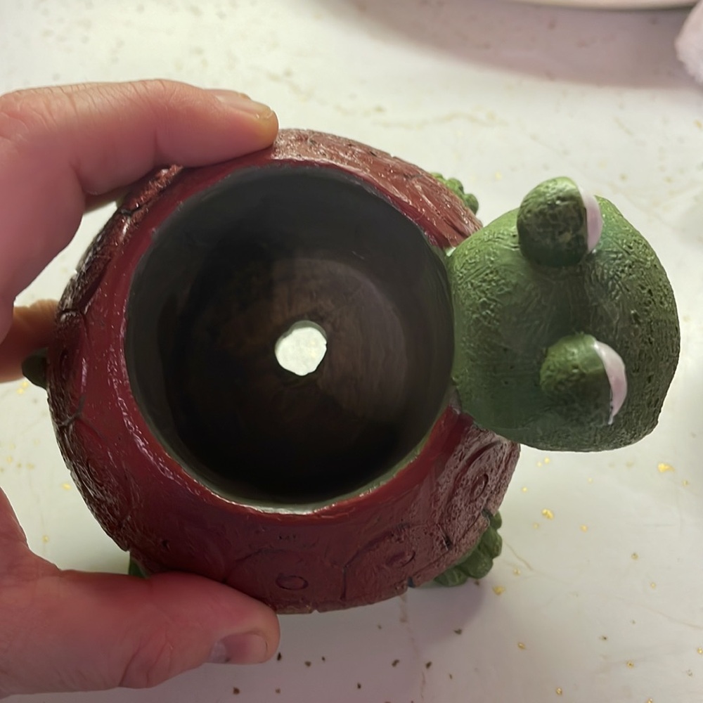 Set of 2 Turtle Planter Pots - Picture 5 of 13